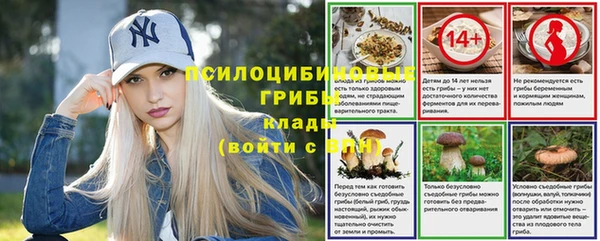 мяу мяу мука Армянск