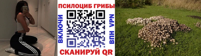 Галлюциногенные грибы MAGIC MUSHROOMS  Сорочинск 