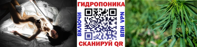 Шишки марихуана планчик  Сорочинск 